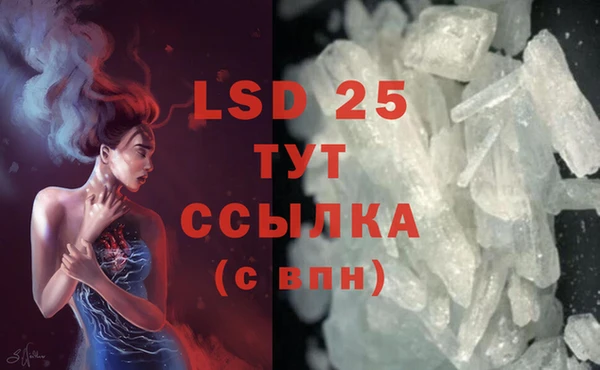 ПСИЛОЦИБИНОВЫЕ ГРИБЫ Баксан