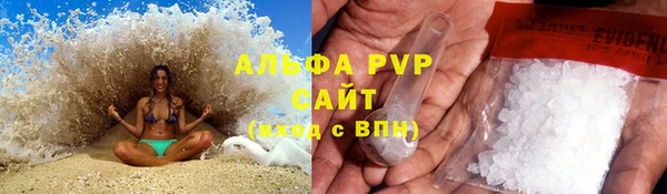 PSILOCYBIN Балахна