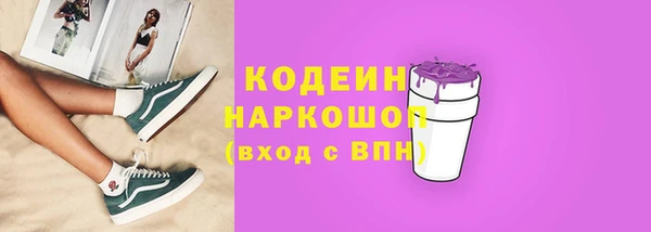 ГАЛЛЮЦИНОГЕННЫЕ ГРИБЫ Богданович
