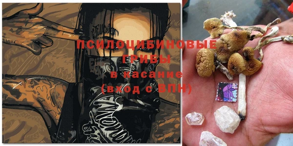 PSILOCYBIN Балахна