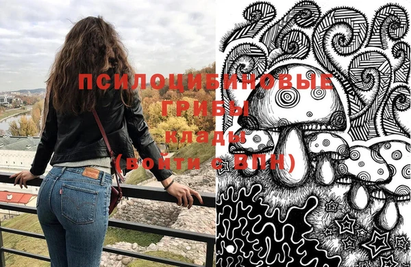 ПСИЛОЦИБИНОВЫЕ ГРИБЫ Баксан