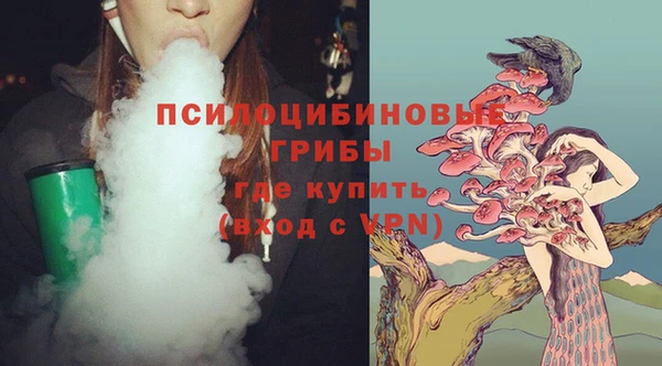 ПСИЛОЦИБИНОВЫЕ ГРИБЫ Баксан