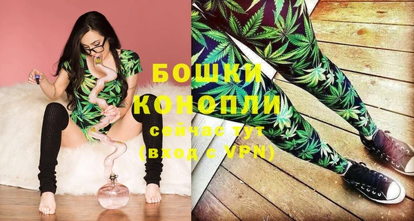 ГАЛЛЮЦИНОГЕННЫЕ ГРИБЫ Балабаново