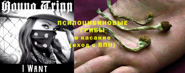 spice Сосновый Бор