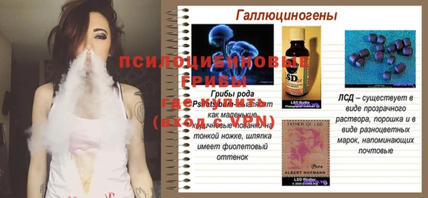 PSILOCYBIN Балахна